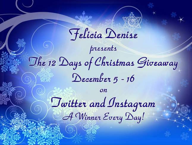 The 12 Days of Christmas Giveaway