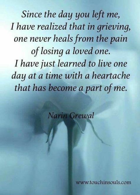 Never Heals