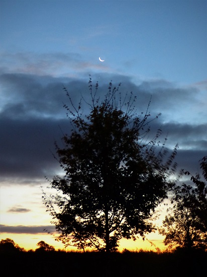 crescent moon writephoto